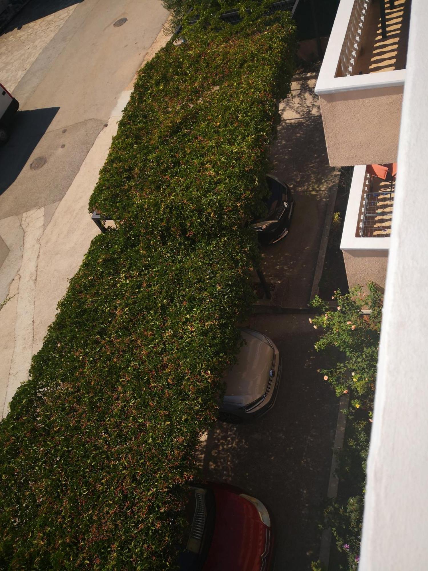 Apartment Plavia Biograd Biograd Na Moru Bagian luar foto