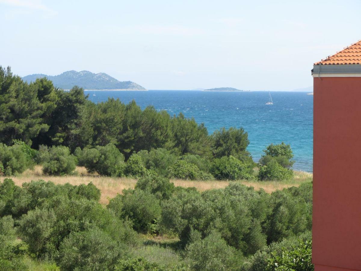 Apartment Plavia Biograd Biograd Na Moru Bagian luar foto